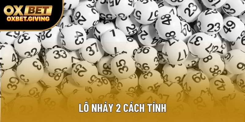 Lô Nháy 2 Cách Tính: Hướng Dẫn Chi Tiết A-Z Thắng Đậm