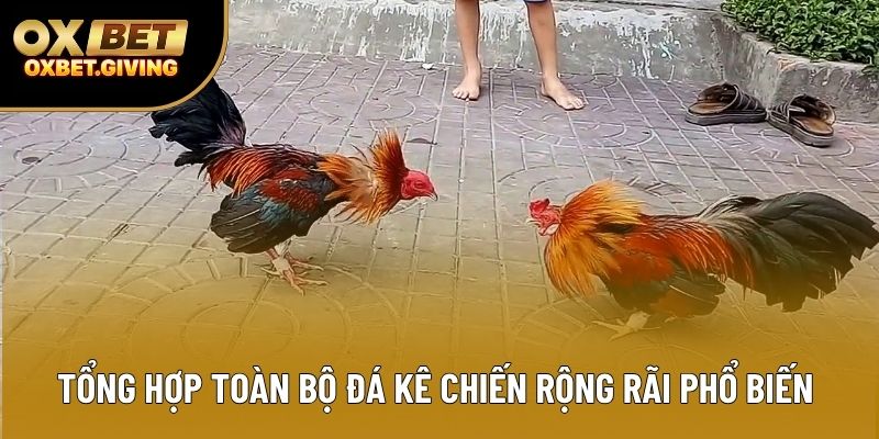 Tổng hợp toàn bộ đá kê chiến rộng rãi phổ biến Tổng hợp toàn bộ đá kê chiến rộng rãi phổ biến